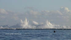 N'oubliez pas vos masque et tubas Masque et tuba