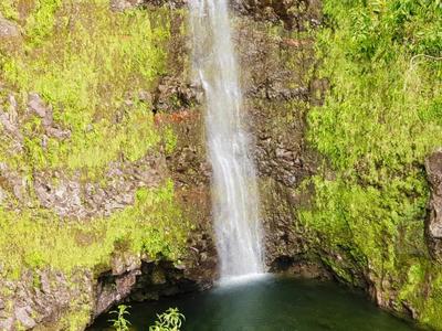 Cascade Biberon - Plaine des Palmistes - La Réunion Cascade Biberon - Plaine des Palmistes - La Réunion