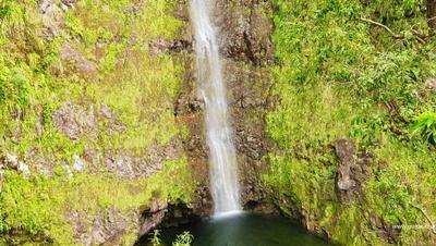 Cascade Biberon - Plaine des Palmistes - La Réunion Cascade Biberon - Plaine des Palmistes - La Réunion