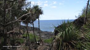 Paysage sauvage Paysage sauvage
