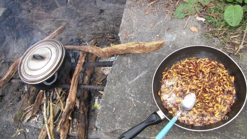 Guêpes au feu de bois Guêpes