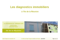 Diagnostic immobilier pour propriétaires vendeurs et bailleurs à la Réunion