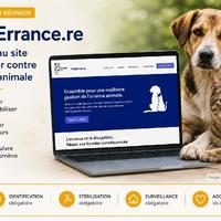 Capture illustrée du site StopErrance.re dédié à la lutte contre l'errance animale à La Réunion. Capture illustrée du site StopErrance.re dédié à la lutte contre l'errance animale à La Réunion.