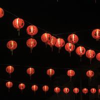 Nouvel An Chinois à La Réunion